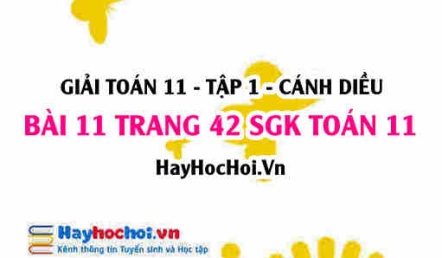 Giải bài 11 trang 42 Toán 11 tập 1 SGK Cánh Diều